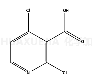 2，4-dichloropyridine-3-carboxylicacid