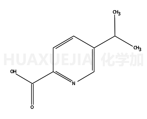 5-异丙基吡啶甲酸
