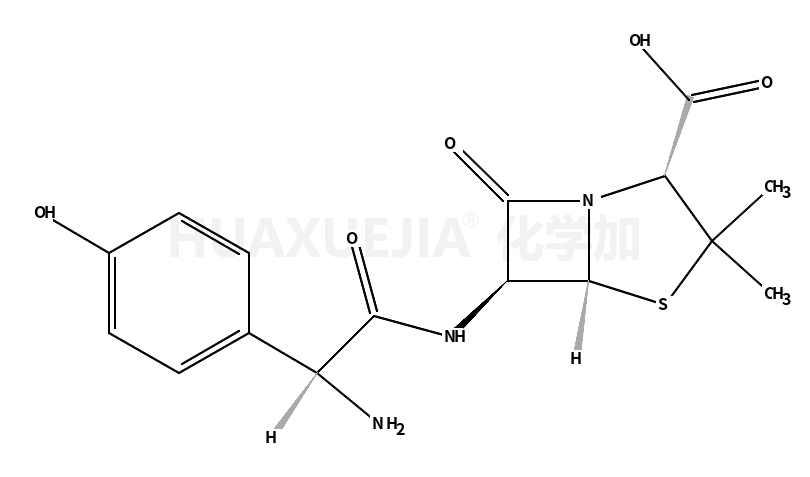 amoxicillin