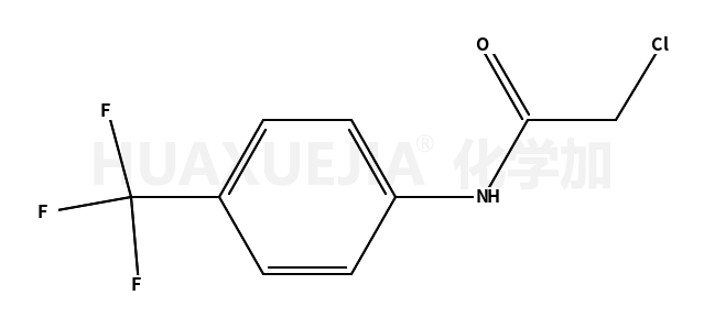 2-氯-N-[4-(三氟甲基)苯基]乙酰胺