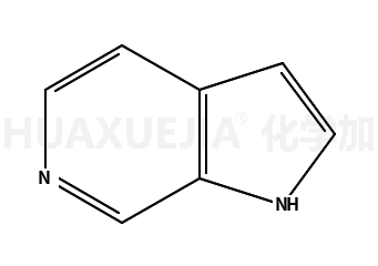 6-氮杂吲哚