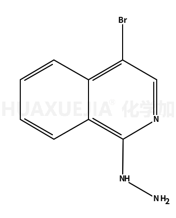 (4-溴-异喹啉-1-基)-肼
