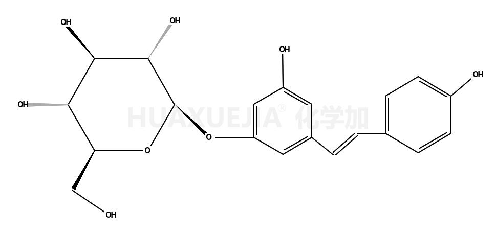 虎杖苷；白藜蘆醇-3-O-β-D-葡萄糖苷