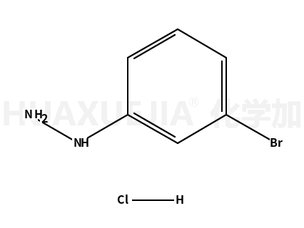 3-溴苯肼盐酸盐