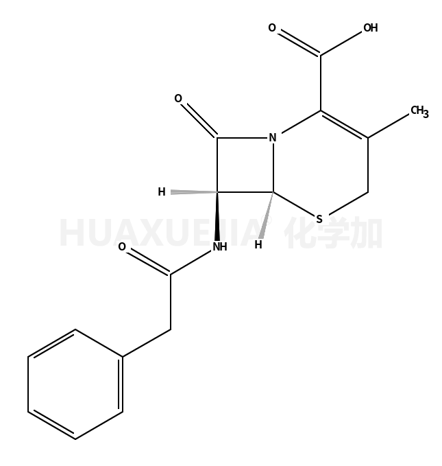 7-苯乙酰胺基-3-甲基-8-氧代-5-硫杂-1-氮杂双环[4.2.0]辛-2-烯-2-甲酸