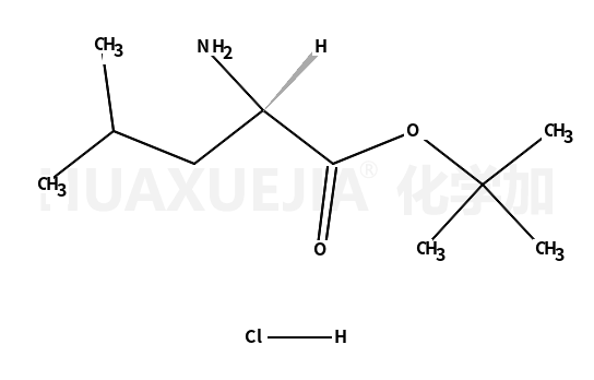 亮氨酸叔丁酯盐酸盐