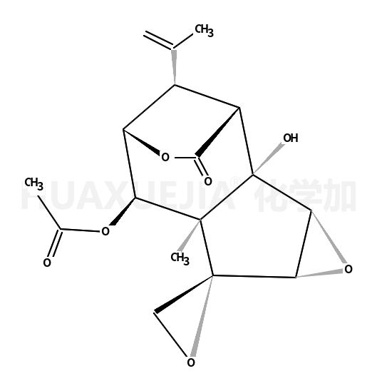 2-邻乙酰基羟基马桑毒素