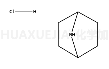 7-氮杂双环[2,2,1]庚烷盐酸盐