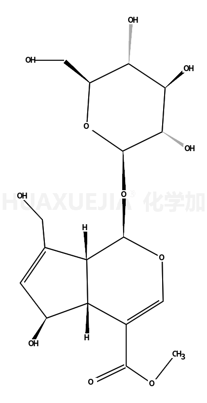 鸡矢藤次苷甲酯