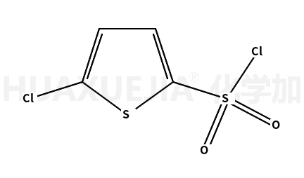 5-氯噻吩-2-磺酰氯