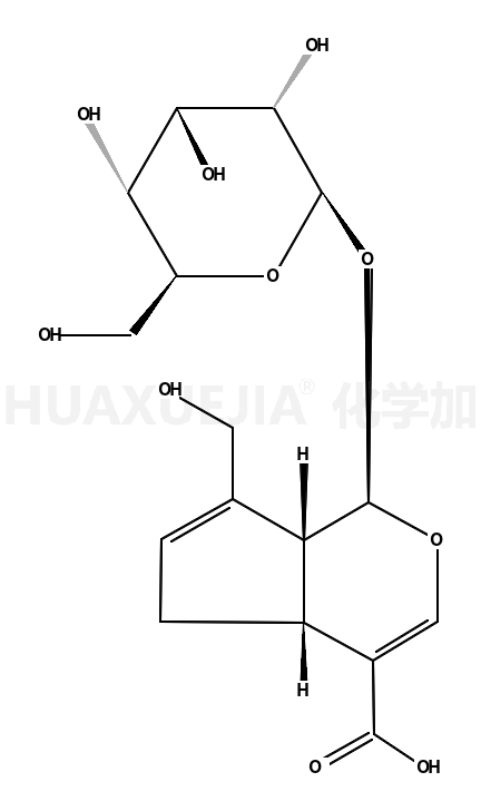 (1S,4aS,7aS)-7-(hydroxymethyl)-1-[(2S,3R,4S,5S,6R)-3,4,5-trihydroxy-6-(hydroxymethyl)oxan-2-yl]oxy-1,4a,5,7a-tetrahydrocyclopenta[c]pyran-4-carboxylic acid