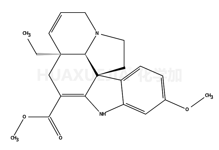 Ervamycine