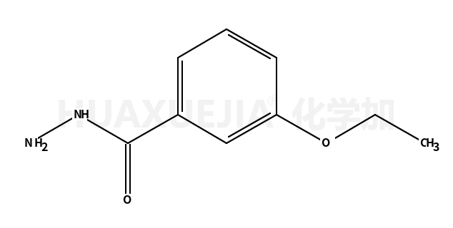 3-乙氧基苯酰肼