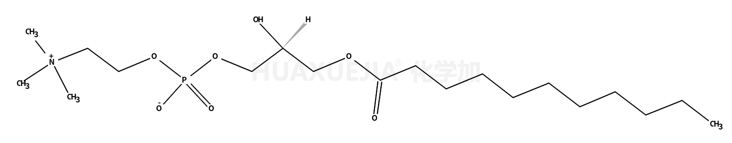 1-undecanoyl-2-hydroxy-sn-glycero-3-phosphocholine