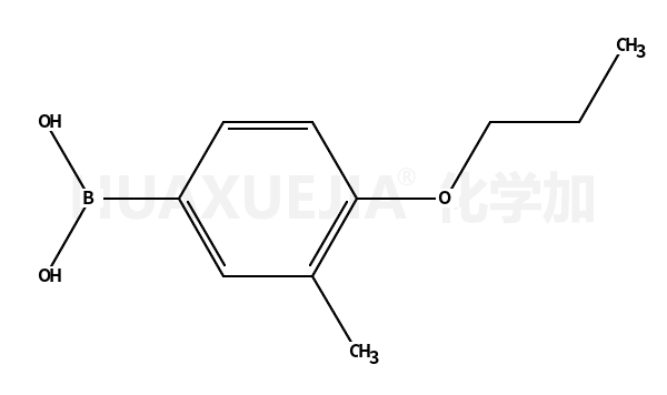 4-正丙氧基-3-甲基苯硼酸