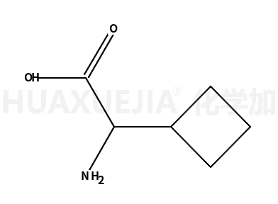 DL-环丁烷甘氨酸