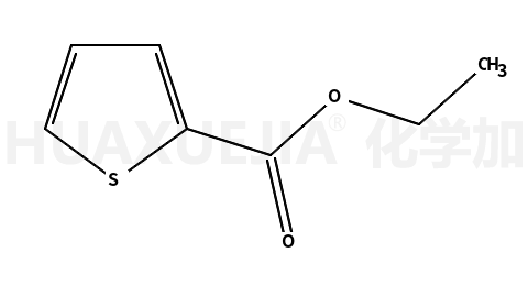 噻吩-2-羧酸乙酯