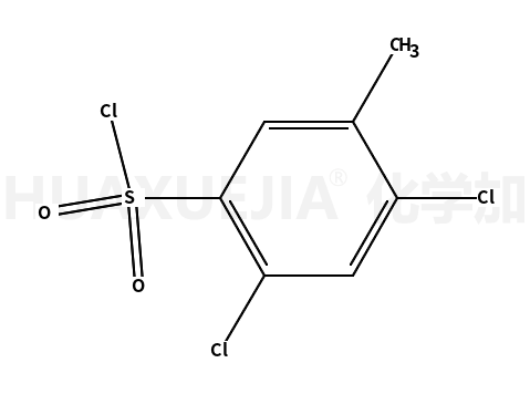 2,4-二氯-5-甲基苯磺酰氯