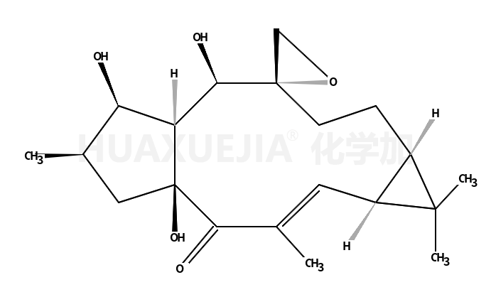 环氧续随子醇