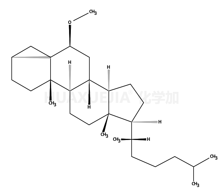 3ALPHA,5-CYCLO-5ALPHA-CHOLESTAN-6BETA-OL METHYL ETHER