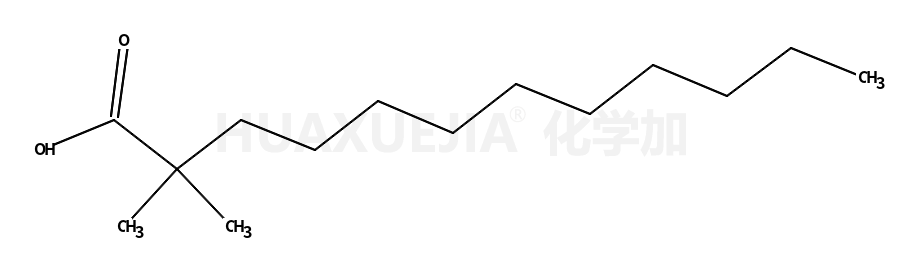 2,2-二甲基二十酸