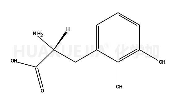 L-3,4-二羟基苯丙氨酸