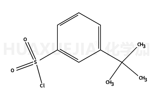 3-叔-丁基苯磺酰氯