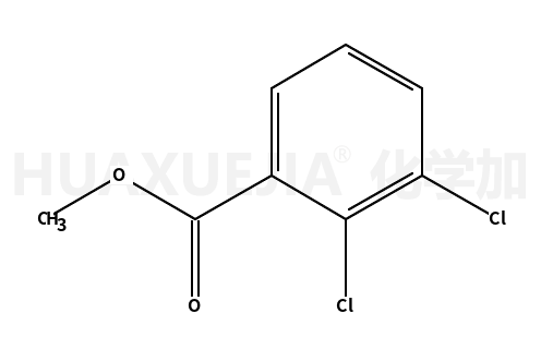2,3-二氯苯甲酸甲酯