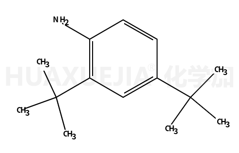 2,4-二叔丁基苯胺
