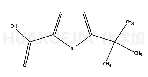 5-叔丁基噻吩-2-羧酸