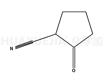 环戊酮-2-甲腈