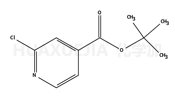 2-氯异烟酸叔丁酯