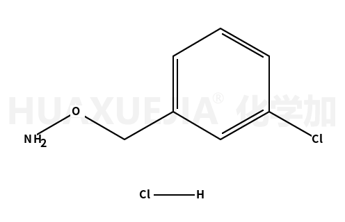 3-氯基苄氧胺盐酸盐