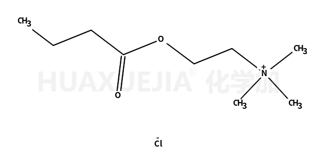 氯化丁酰胆碱