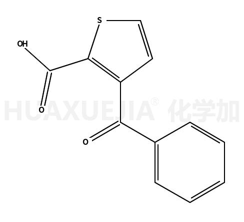 3-苯甲酰噻吩-2-羧酸