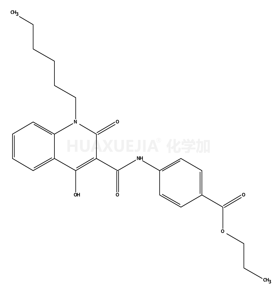 GSA 10