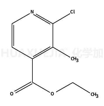 2-氯-3-甲基吡啶-4-羧酸乙酯