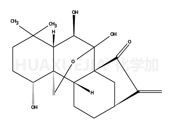 疏展香茶菜宁 A