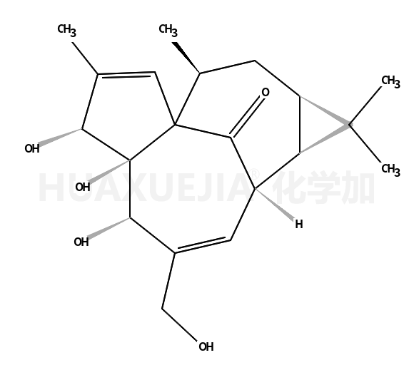 巨大戟萜醇