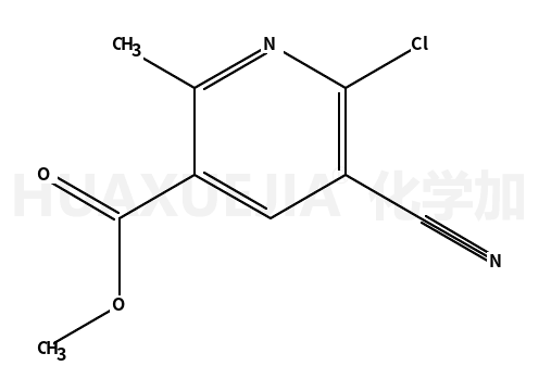 6-氯-5-氰基-2-甲基烟酸甲酯
