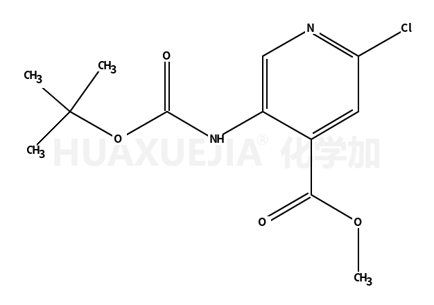 2-氯-5-叔丁氧羰基氨基-4-吡啶甲酸甲酯