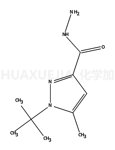 1-叔丁基-5-甲基-吡唑-3-羧肼