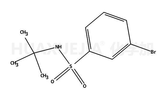 N-叔丁基-3-溴苯磺酰胺