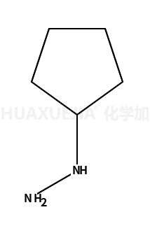 环戊基肼