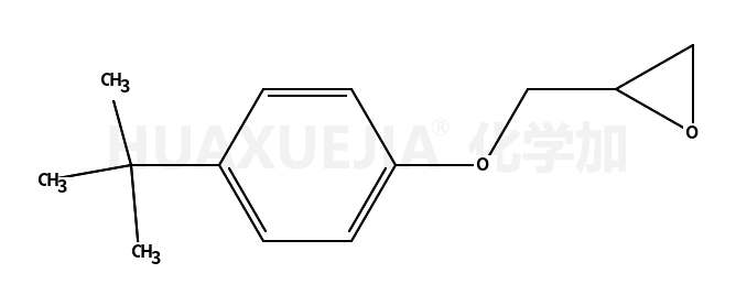 对叔丁基苯基缩水甘油醚