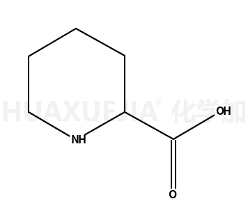 L-哌啶-2-甲酸