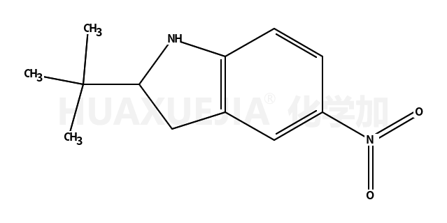 2-tert-butyl-5-nitro-2,3-dihydro-1H-indole