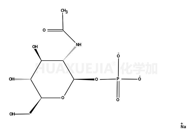 N-乙酰-A-D-氨基葡萄糖-1-磷酸酯