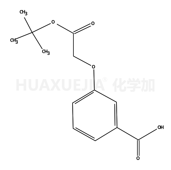 3-(2-叔丁氧基-2-氧代乙氧基)苯甲酸