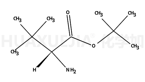 L-叔亮氨叔丁酯